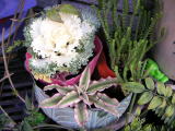 �t���O�̊�A